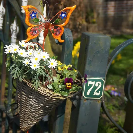Holiday home Butterfly *